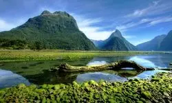 جدال بر سر تعطیلات طولانی تابستانی در نیوزیلند؛ از رؤیای استراحت تا کابوس افت بهره‌وری