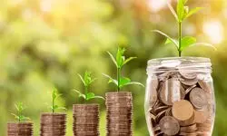 خبر رسمی از واریز مستمری ۱.۴ تا ۴.۴ میلیون تومانی برای مددجویان بهزیستی 