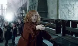 نتفلیکس، برادران وارنر را می‌بلعد؛ شکست ادغام «دیزکاوری» با غول تاریخ‌ساز هالیوود