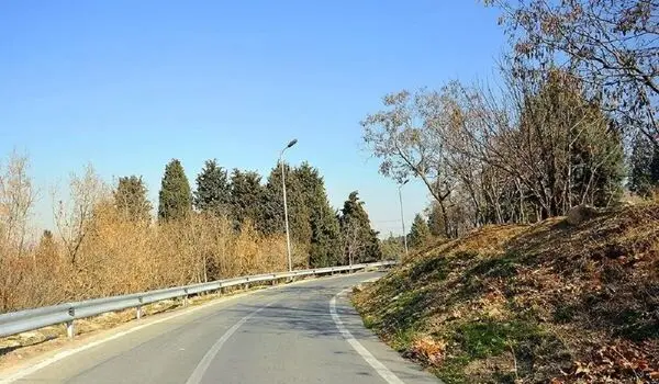 قطع و جایگزینی ۳۵ هزار اصله درخت در پارک سرخه حصار