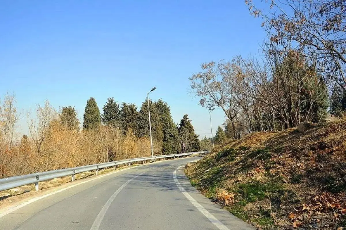 قطع و جایگزینی ۳۵ هزار اصله درخت در پارک سرخه حصار