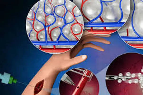 این فناوری جدید جهان را در شوک فروبرد | دستاورد خیره‌کننده دانشمندان در ادغام بیولوژی و هوش مصنوعی