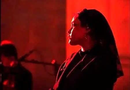 بیوگرافی نگین گودرزی، همخوان زن کنسرت علیرضا قربانی