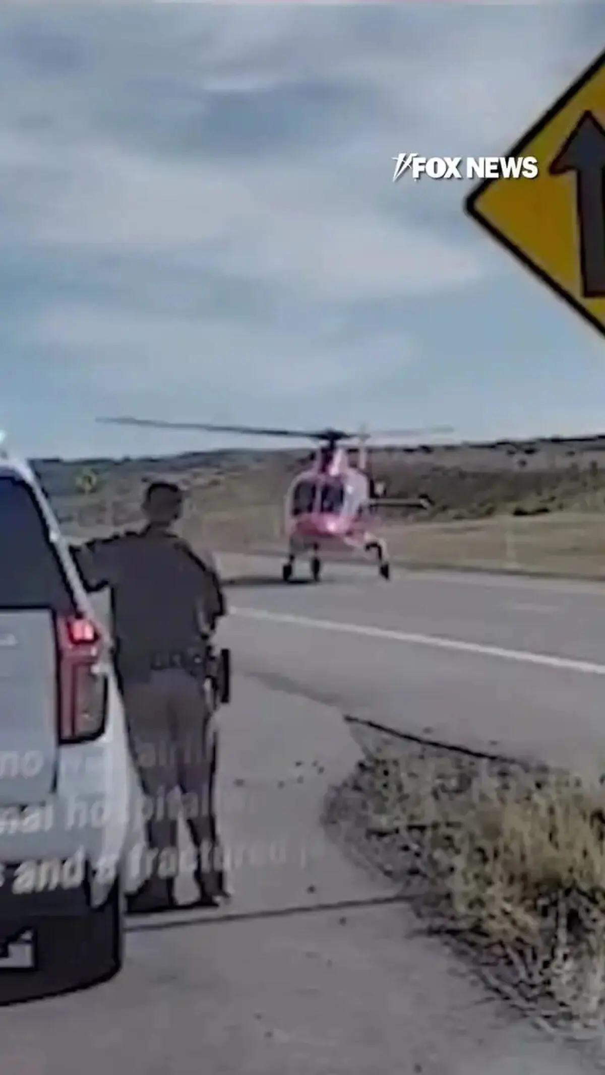 سقوط ناگهانی سگ پلیس از روی پل به بزرگراه