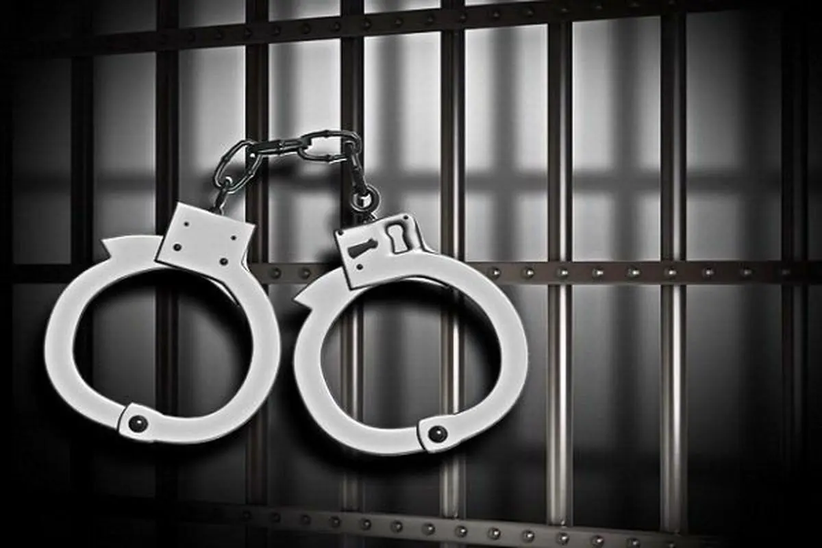 ربایش دختر تهرانی برای اقدامات غیراخلاقی در باغ ویلای 3 افغانستانی | قرار بود با متهم ازدواج کند و به ترکیه برود + نظر کارشناس