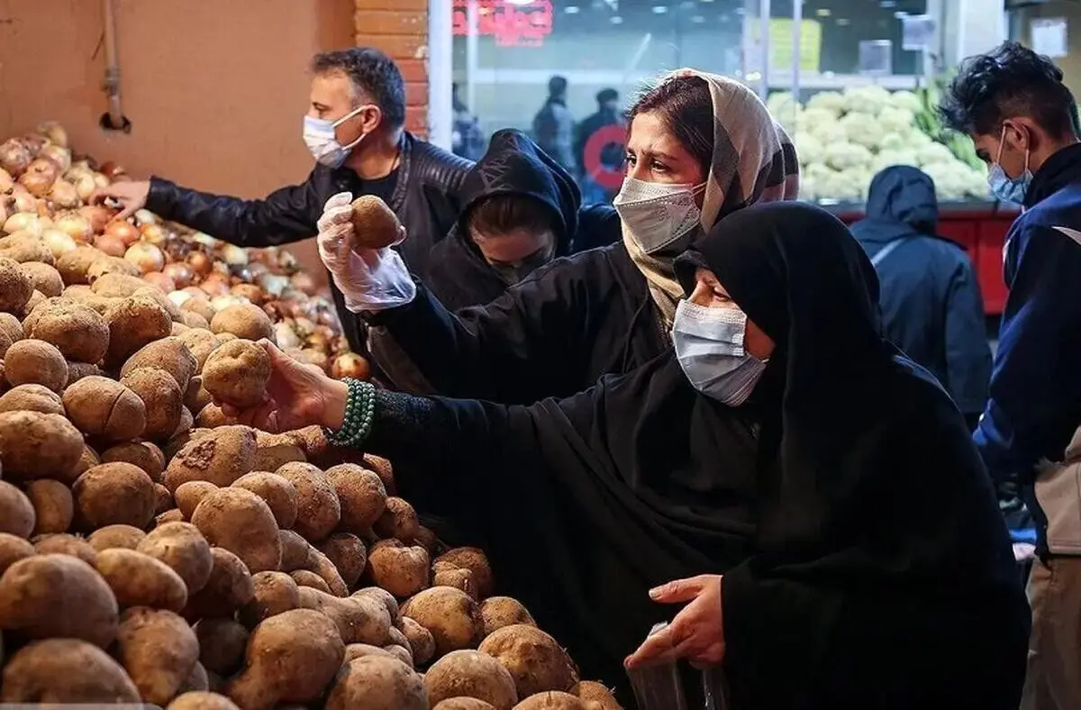 سیب‌زمینی ارزان می‌شود