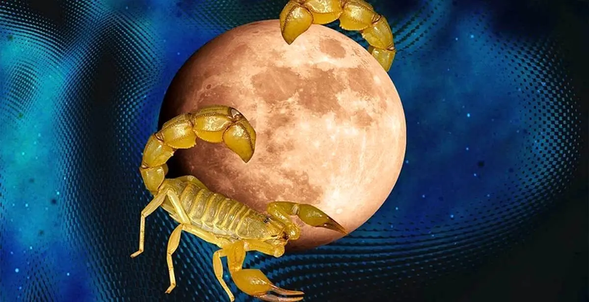 در این روزها هرگز ازدواج نکنید! فهرست کارهای ممنوعه در قمر در عقرب آذر ۱۴۰۴ اعلام شد

