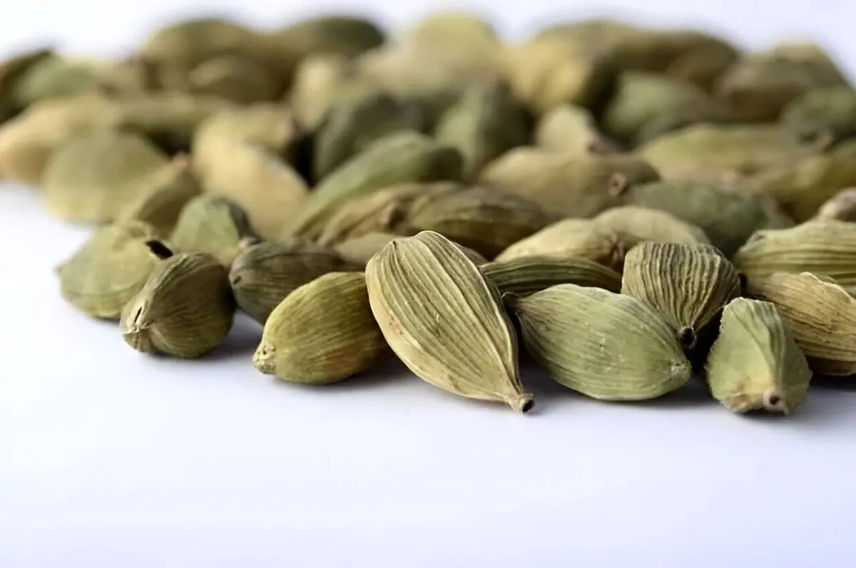 مصرف این ادویه معجزه آسا را در زمستان فراموش نکنید
