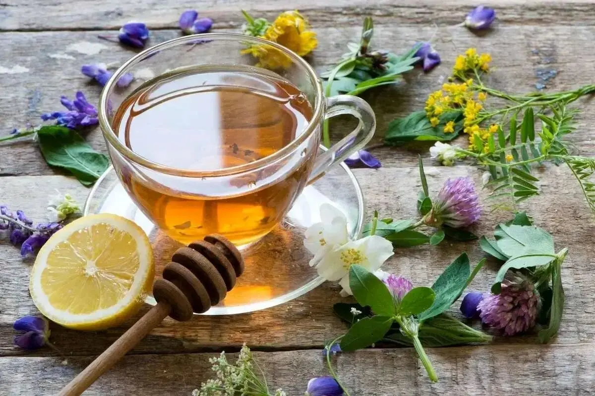 مصرف بی‌رویه دمنوش‌های گیاهی؛ درمان آنفلوانزا یا تهدید سلامت؟
