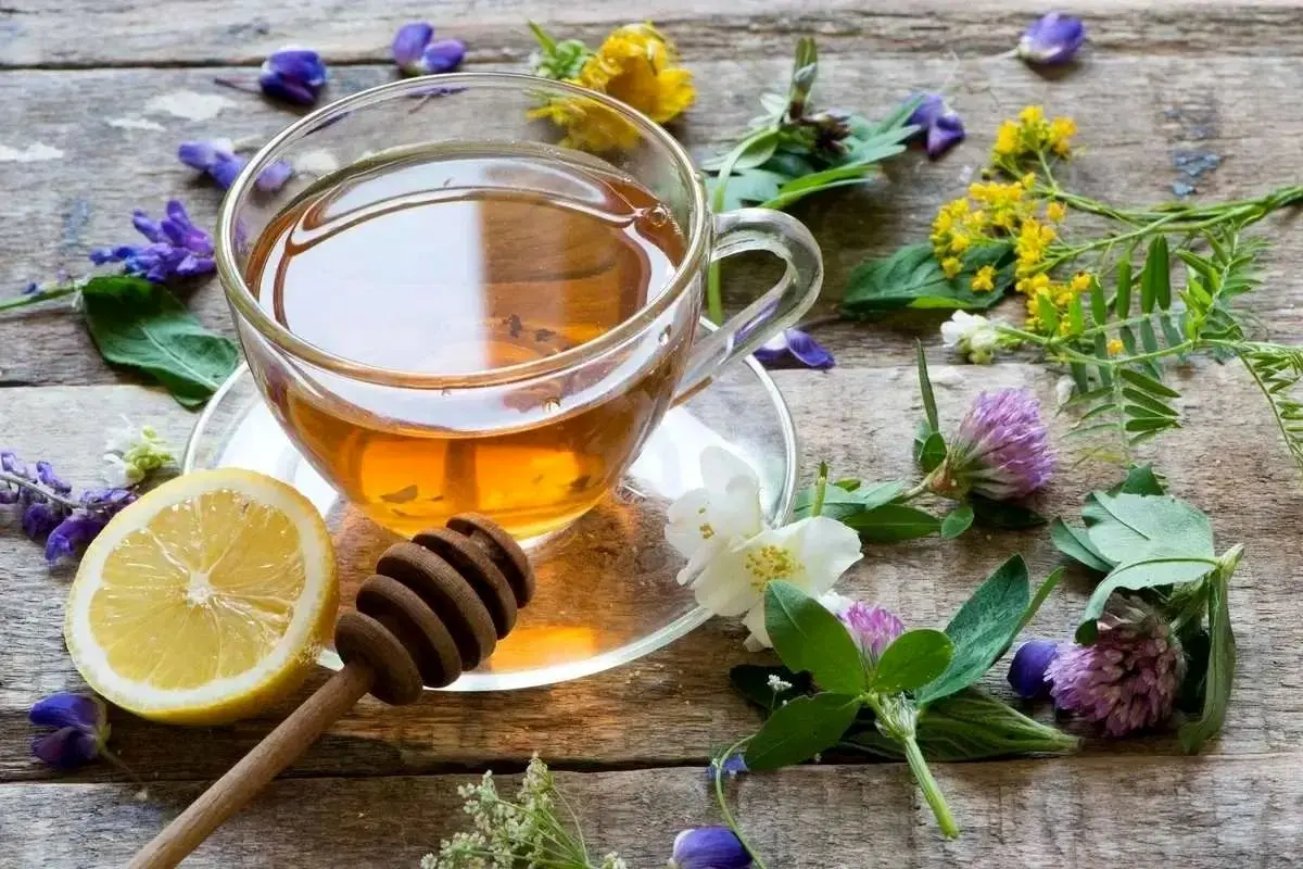 مصرف بی‌رویه دمنوش‌های گیاهی؛ درمان آنفلوانزا یا تهدید سلامت؟
