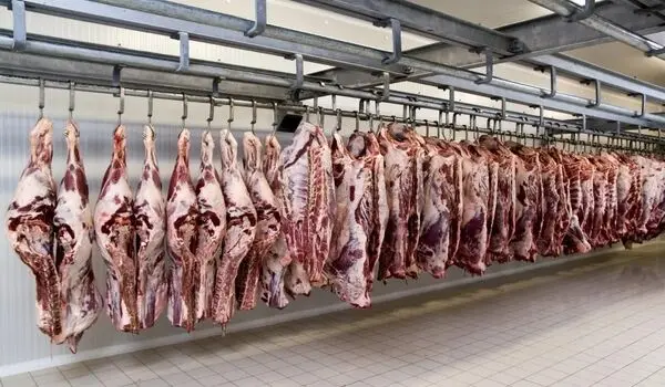 ادعای توزیع گوشت الاغ و اسب در بازار؛ واقعیت ماجرا چیست؟