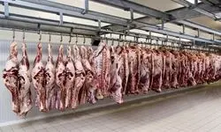 ادعای توزیع گوشت الاغ و اسب در بازار؛ واقعیت ماجرا چیست؟
